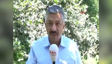 Fındık işçilerine "Rekolte düşük, bahçe bulmadan gelmeyin" uyarısı