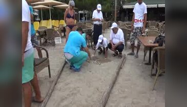 Yuvadan çıkan son caretta caretta yavrusu denizle buluştu