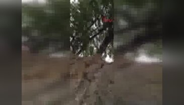 Kucağımda gül gibi gencecik delikanlı şehit düştü