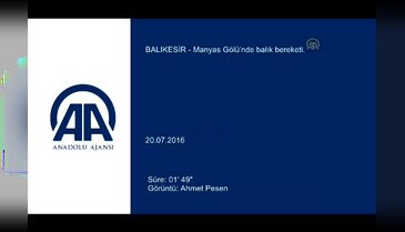 Manyas Gölü'nde balık bereketi