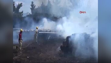 Çanakkale'de orman yangını