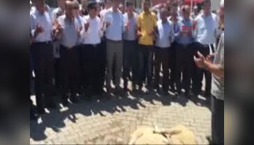 Sivas Gemerek'te 41 şükür kurbanı kesildi