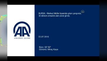 Bursa'da korkutan yangın! - 2
