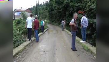 Rize'de derede ölü balık paniği