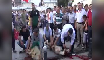 Adıyaman'da demokrasi için 100 kurban kestiler