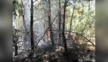 Çanakkale Bayramiç'te orman yangını - 1
