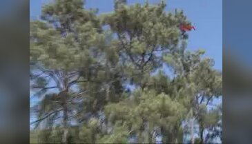 Kaçak 3 asker yakalandı - 1