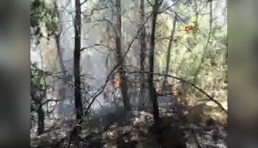 Çanakkale Bayramiç'te orman yangını - 2