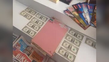 31 akademisyenin adreslerinde yapılan aramalarda ele geçirilen 1 dolarlar sergilendi