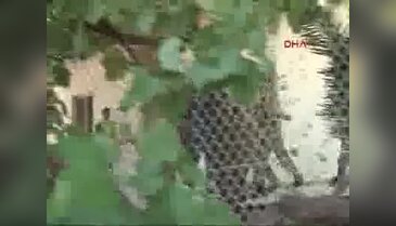 Marmaris'te 4 asker daha yakalandı - 1