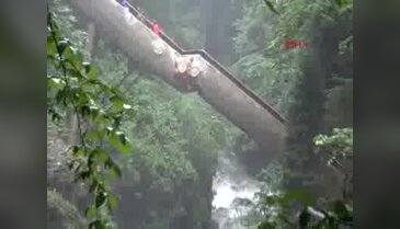 Rize'de Palovit Şelalesine basamaklı köprü