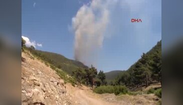 Kütahya Tunçbilek'te orman yangını