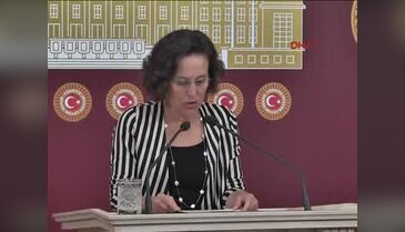 HDP'li Filiz Kerestecioğlu: Cinsel suçlar ise kadınların özgürleşmesi ve çocukların güçlenmesiyle önlenebilir