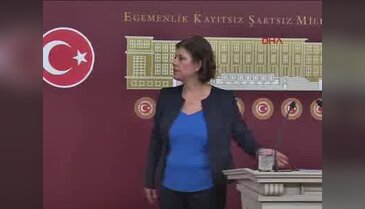 Meral Danış Beştaş, TBMM'de basın toplantısı düzenledi - 1