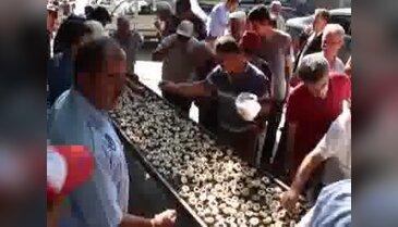 Altınyayla'da En İyi Mantar Yetiştiricisi Yarışması yapıldı