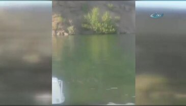 Bu atlayış ona ölüm getirdi
