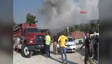 Buca'da orman yangını