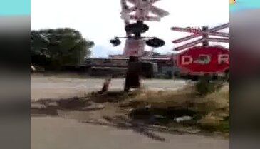 Satılmaya götürülen inek sahibinin elinden kaçtı