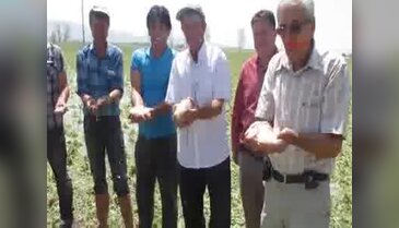 Sandıklı'da dolu tarım alanlarına zarar verdi