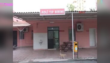 Adana'da PKK operasyonu: 13 gözaltı