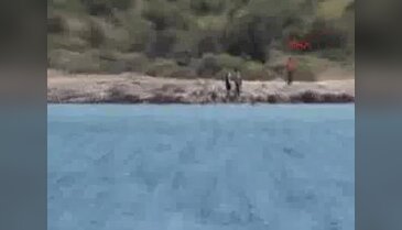 Sahil Güvenlik ekipleri tarafından 2 günde 273 göçmen yakalandı