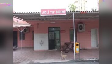 Adana'da FETÖ soruşturmasında 23 işadamı tutuklandı