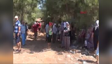 Bodrum'da katı atık depolama tesisi için ağaç kesimi başladı