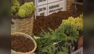 Manisa'da yılın ilk kuru üzümü kilosu 50 liradan alıcı buldu