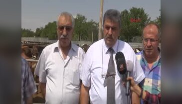 Kırmızı Et Üreticileri Birliği: Kurbanlık fiyatları yüzde 30 zamlandı