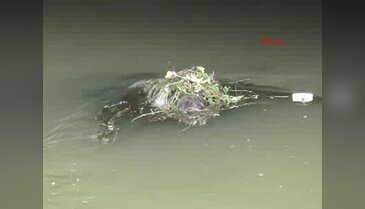 Kayıp gencin cesedi, kanalda bulundu