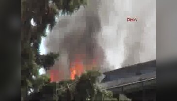 Gaziantep'te yem fabrikasında yangın
