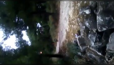 Bursa Atatürk Kent Ormanı'nı domuzlar bastı!