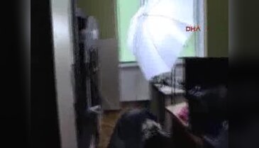 Ukrayna'da porno şebekesine baskın