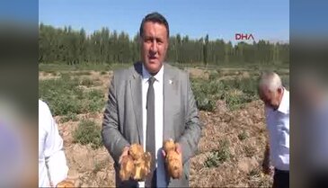 'Patatesin yurt dışına satışı teşvik edilmeli'