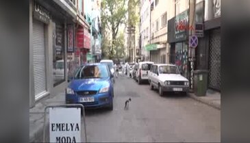 Bursa'da çöplük haline dönen evinin temizlenmesini kedisiyle birlikte izledi