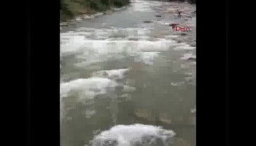 Dereye düştü, hayatını kaybetti
