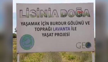 Burdur Lisinia'da lavanta balı üretimine başlandı