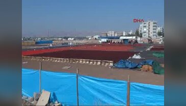 Şanlıurfa'da kadınların 40 derecelik sıcakta acı işi