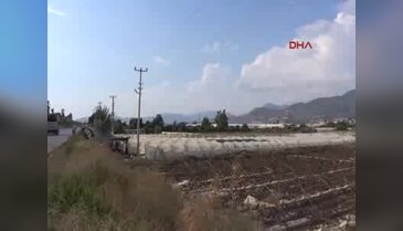 Gazipaşalı çilek üreticileri ekim hazırlıklarına başladı