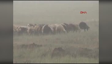 Kars'ta 15 dakikalık sağanak hayatı felç etti