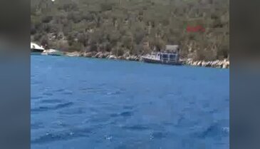 Bodrum'daki koyda, 6 saatlik caretta caretta incelemesi - 1