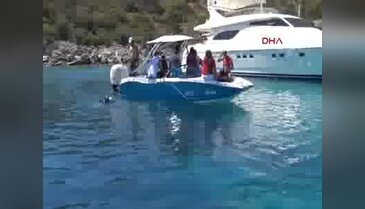Bodrum'daki koyda, 6 saatlik caretta caretta incelemesi - 3