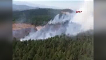 Çanakkale'de orman yangını