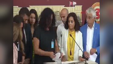 CHP'li Zeynep Altıok basın açıklaması yaptı - 2