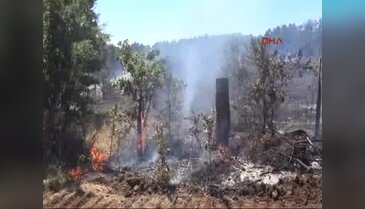 Çanakkale'de orman yangını - 2