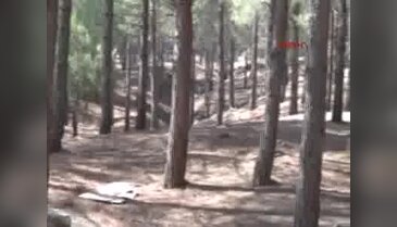 Kavga eden arkadaşlarını ayırmak isterken öldü