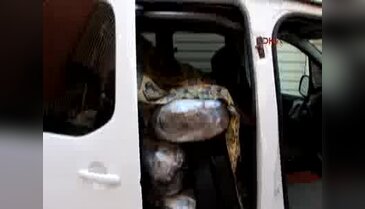 Kırıkkale'de 175 kilo esrar ele geçirildi