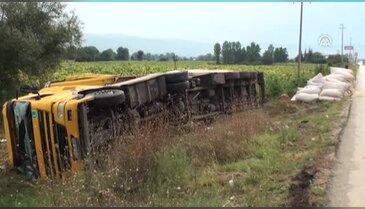 Bursa'da kurbanlık yüklü TIR devrildi: 2 yaralı