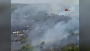 Çanakkale tarım arazisinde başlayan yangın ormanı da yaktı