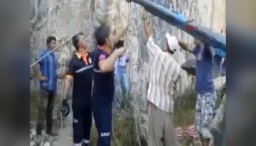 Definecilerin kazdığı kuyuya düşen inek telef oldu